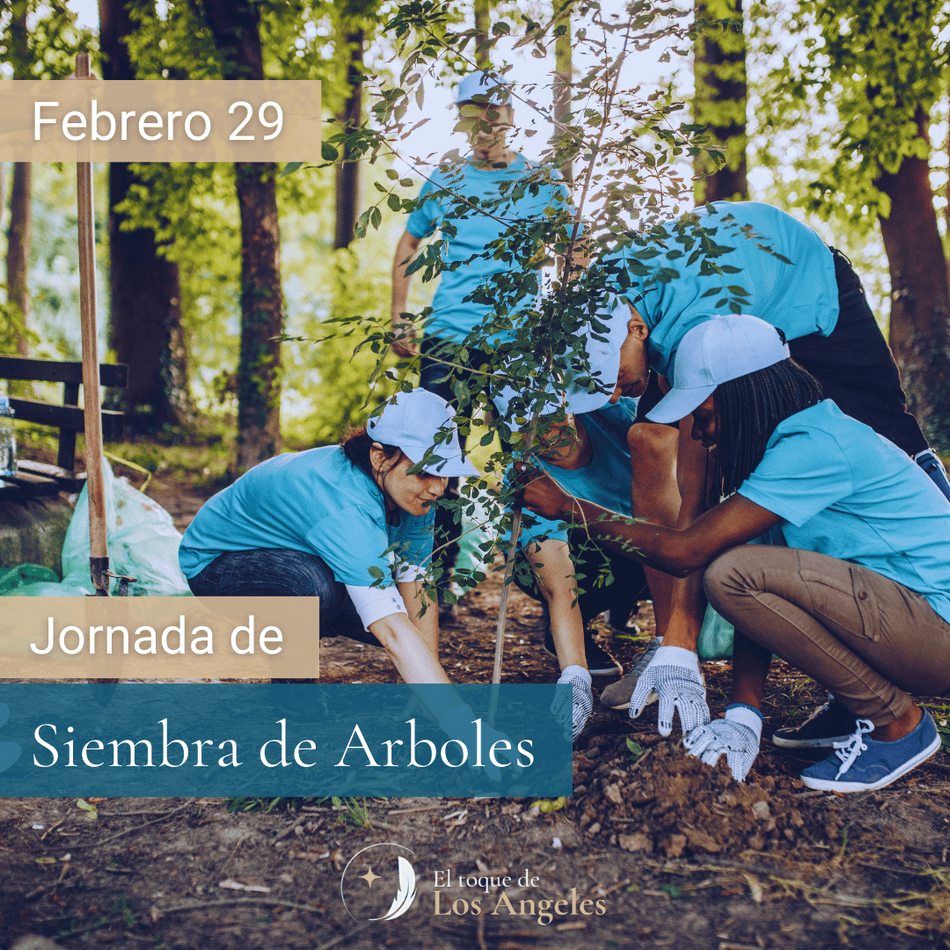 Jornada de Siembra de Arboles