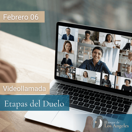 Videollamada - Etapas del Duelo