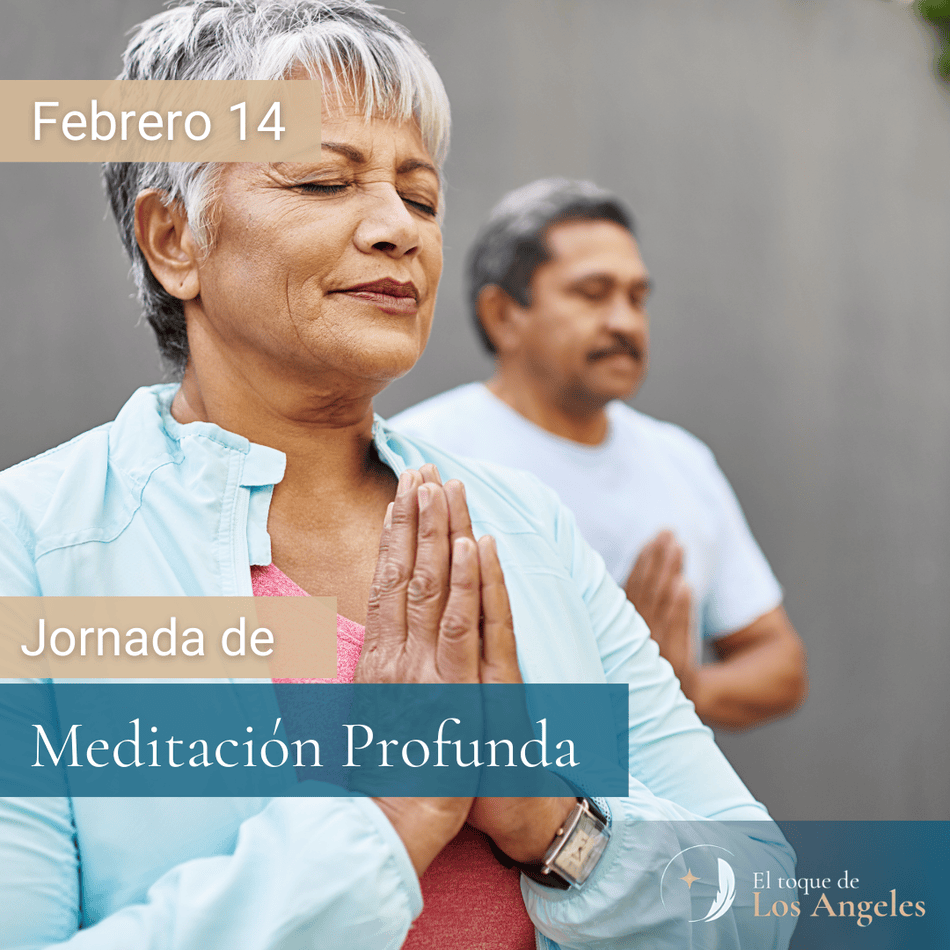 Jornada de Meditación Profunda