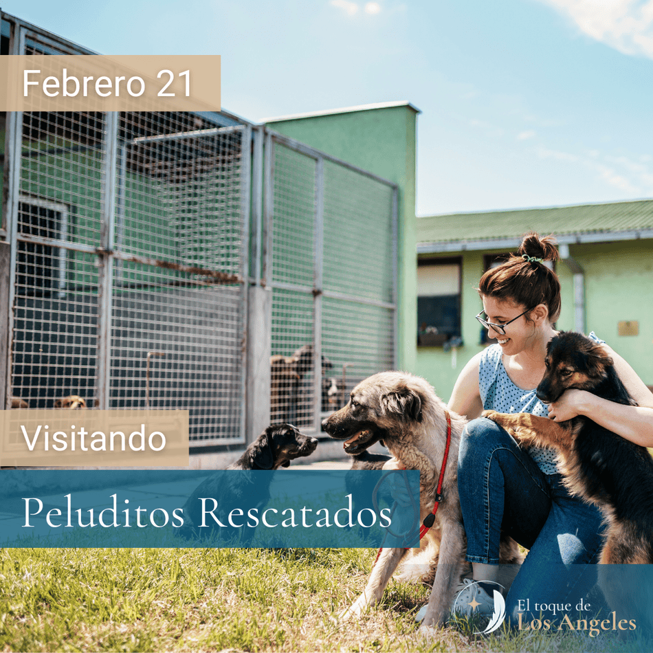 Sesión de Terapia con Animales