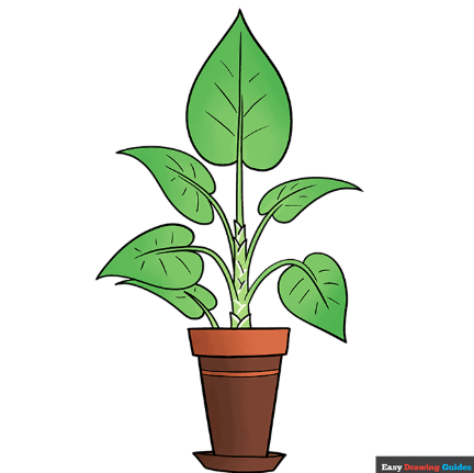 🌿 Root of Hope